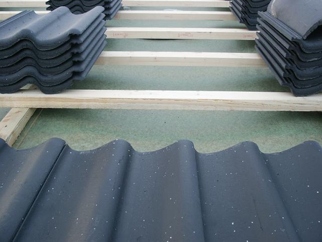 PICT0039.JPG