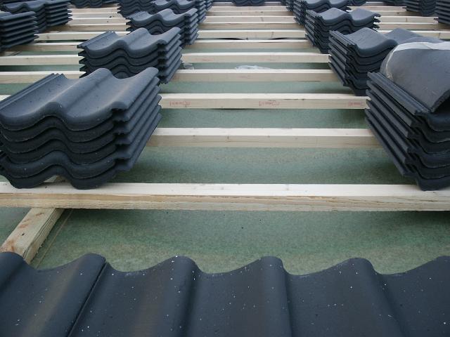PICT0040.JPG