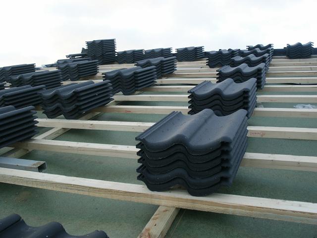 PICT0043.JPG