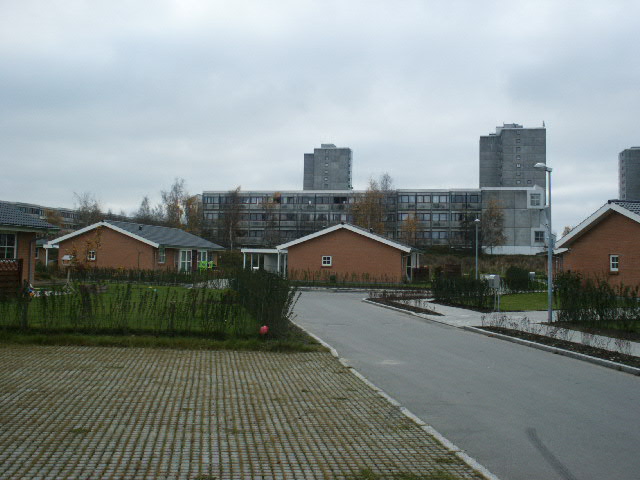 PICT0006.JPG