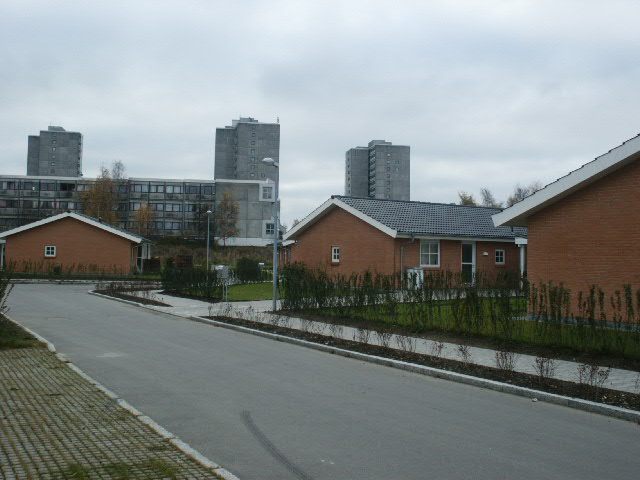 PICT0007.JPG