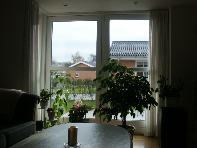 PICT0010.JPG